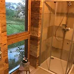 Der Baum * Inzersdorf im Kremstal