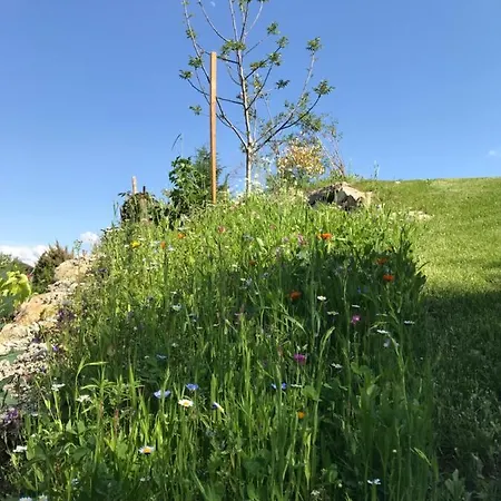 Der Baum Aparthotel Inzersdorf im Kremstal
