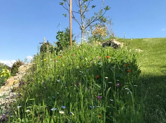Der Baum Apart Otel Inzersdorf im Kremstal