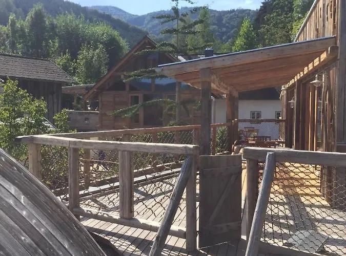 Der Baum * Inzersdorf im Kremstal